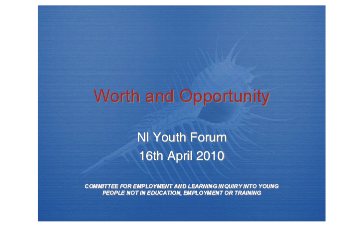 Northern Ireland Youth Forum submission