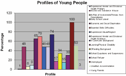 Profiles of Young People