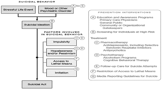 Figure 2: Targets of Suicide Prevention Interventions