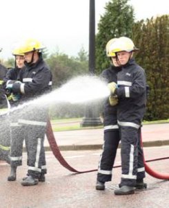 Fire Brigade demonstration at parliament buildings