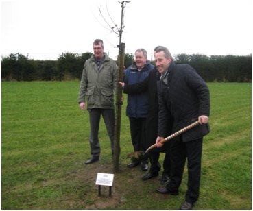 (Members planting a tree after an evidence session on the Forestry Bill) 