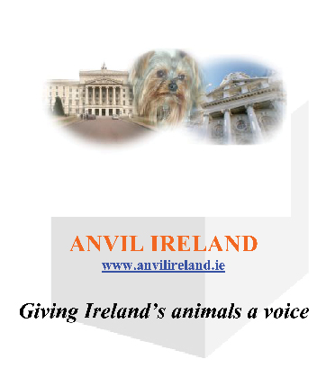 Anvil Ireland Logo