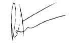 Robbie Saulters Signature