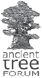 ancient tree forum logo